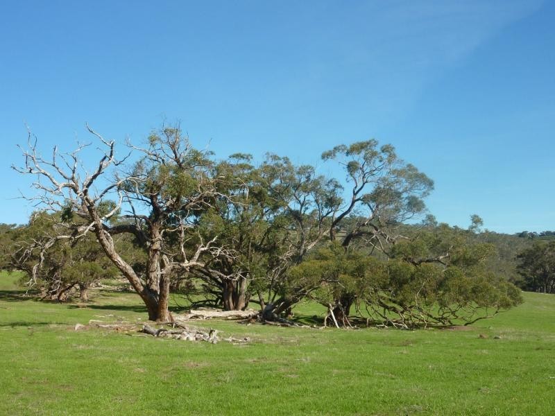 300 Yulte Road, Myponga SA 5202