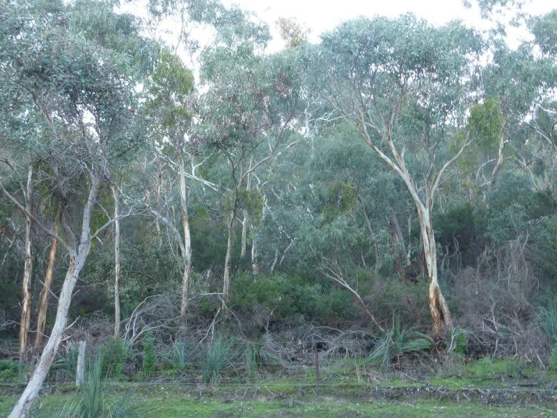 1 McEwin Road, Hindmarsh Valley SA 5211