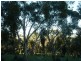 1 McEwin Road, Hindmarsh Valley SA 5211