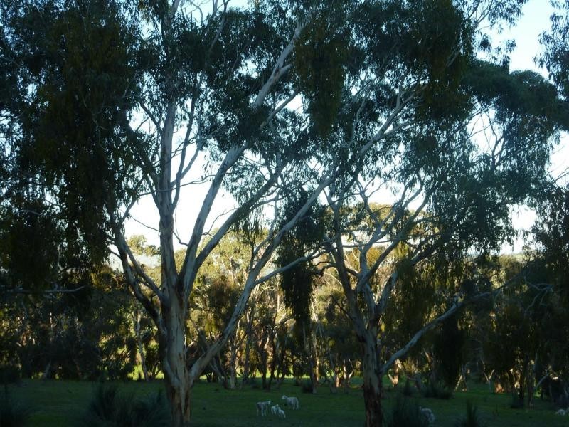 1 McEwin Road, Hindmarsh Valley SA 5211