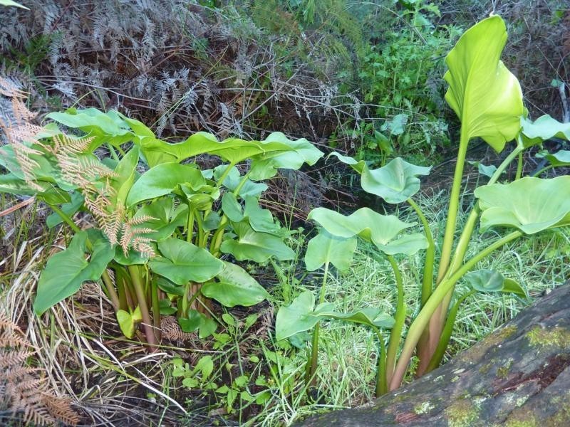 1 McEwin Road, Hindmarsh Valley SA 5211