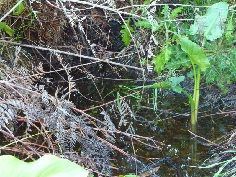 1 McEwin Road, Hindmarsh Valley SA 5211