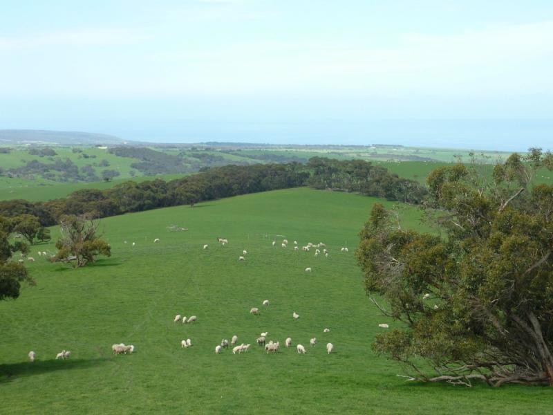 273 Maylands Road, Willow Creek, Parawa SA 5203