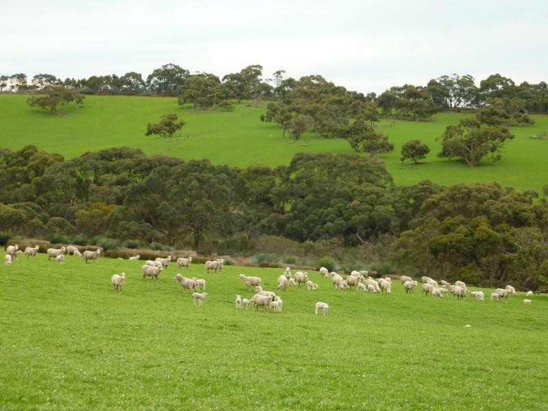 273 Maylands Road, Willow Creek, Parawa SA 5203