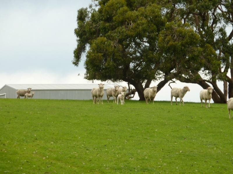 273 Maylands Road, Willow Creek, Parawa SA 5203