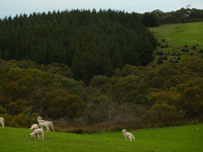 273 Maylands Road, Willow Creek, Parawa SA 5203