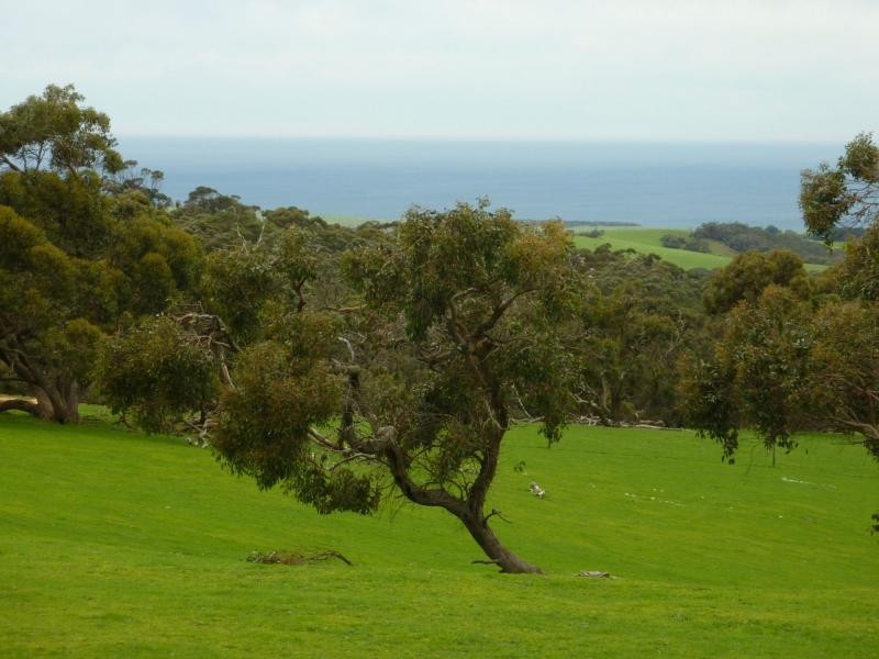 273 Maylands Road, Willow Creek, Parawa SA 5203