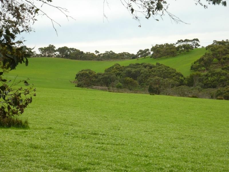 273 Maylands Road, Willow Creek, Parawa SA 5203