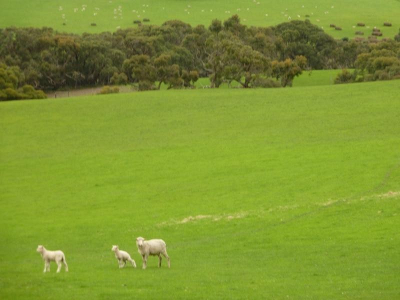 273 Maylands Road, Willow Creek, Parawa SA 5203