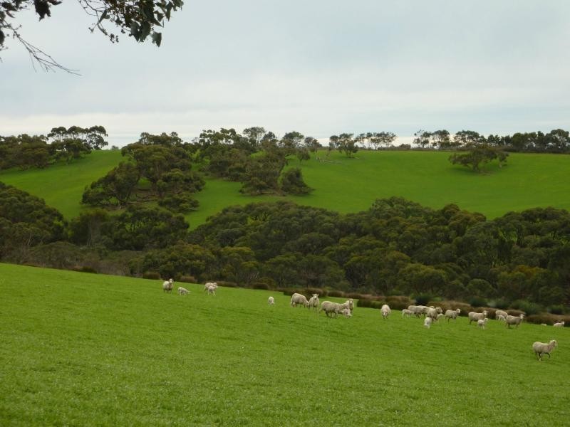 273 Maylands Road, Willow Creek, Parawa SA 5203