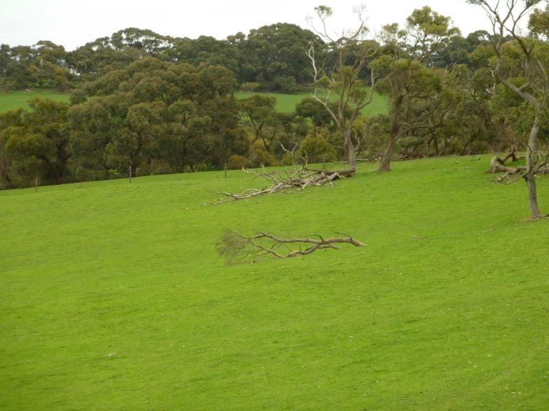 273 Maylands Road, Willow Creek, Parawa SA 5203