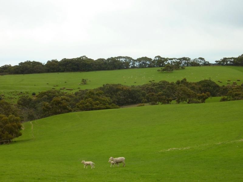 273 Maylands Road, Willow Creek, Parawa SA 5203