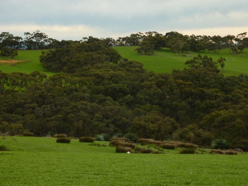 273 Maylands Road, Willow Creek, Parawa SA 5203