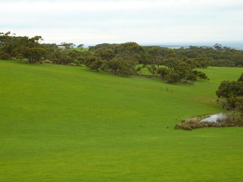 273 Maylands Road, Willow Creek, Parawa SA 5203