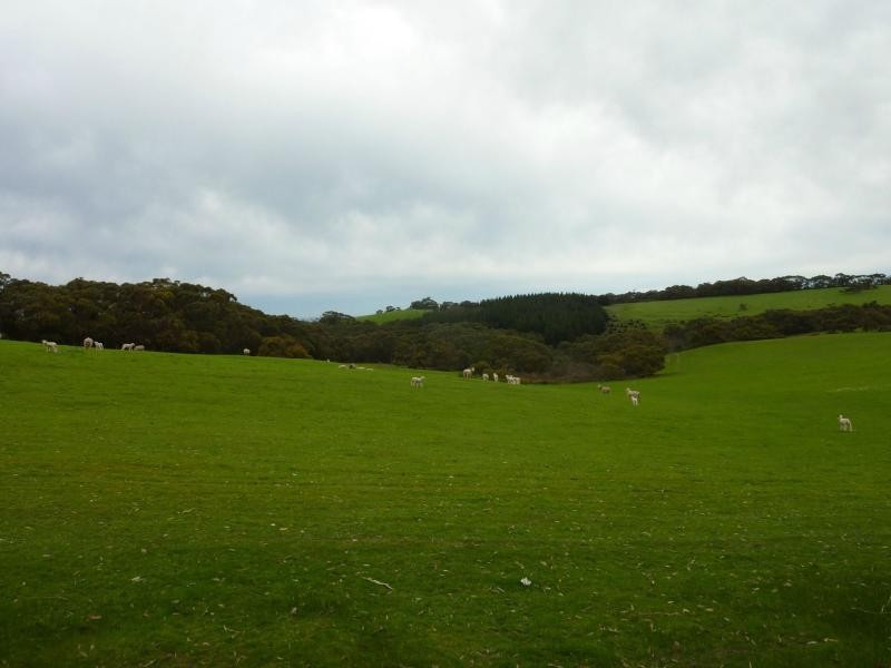 273 Maylands Road, Willow Creek, Parawa SA 5203