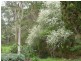 2556 Range Road , Willow Creek, Victor Harbor SA 5211