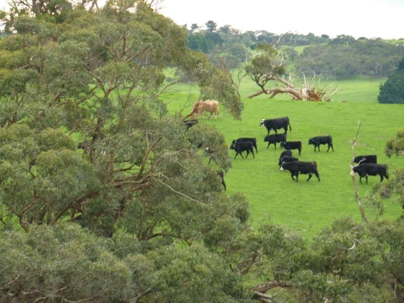 2556 Range Road , Willow Creek, Victor Harbor SA 5211