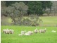 2556 Range Road , Willow Creek, Victor Harbor SA 5211