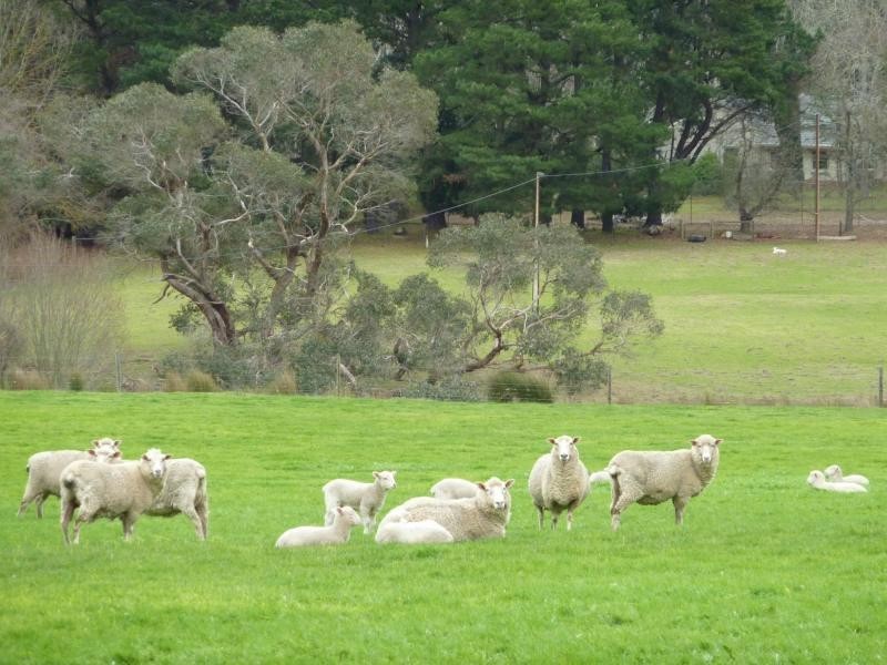 2556 Range Road , Willow Creek, Victor Harbor SA 5211