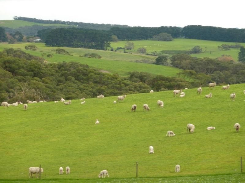 2556 Range Road , Willow Creek, Victor Harbor SA 5211