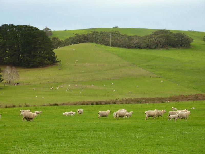 2556 Range Road , Willow Creek, Victor Harbor SA 5211