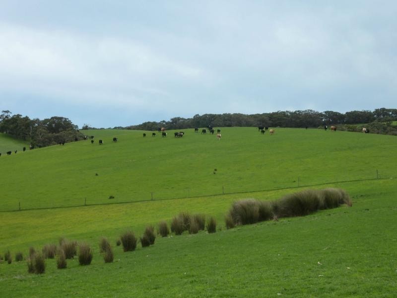 2556 Range Road , Willow Creek, Victor Harbor SA 5211