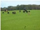 2556 Range Road , Willow Creek, Victor Harbor SA 5211