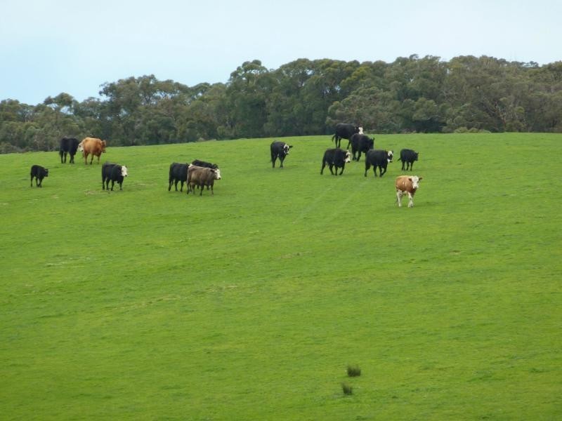 2556 Range Road , Willow Creek, Victor Harbor SA 5211