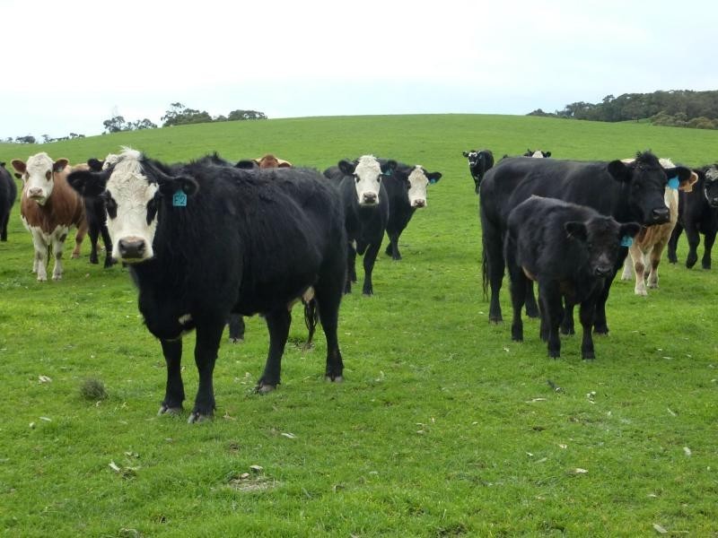 2556 Range Road , Willow Creek, Victor Harbor SA 5211