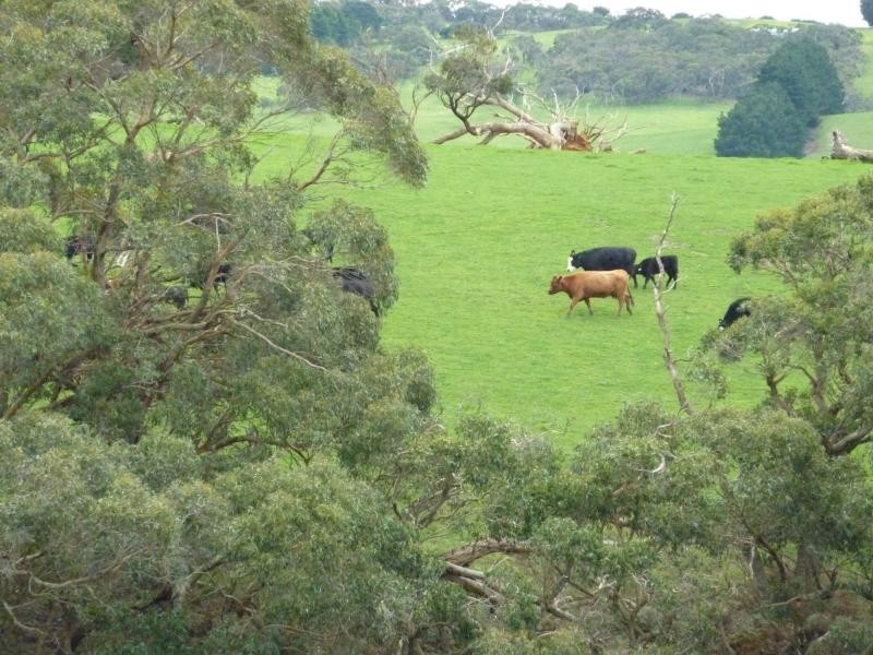 2556 Range Road , Willow Creek, Victor Harbor SA 5211