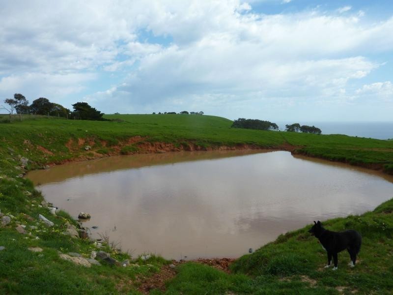 L50 Forktree Road, Carrickalinga SA 5204