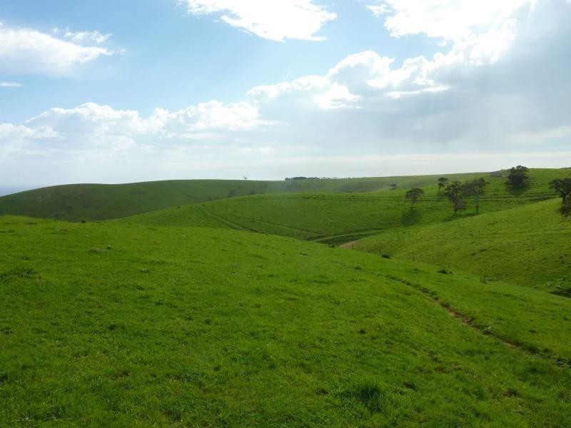L50 Forktree Road, Carrickalinga SA 5204