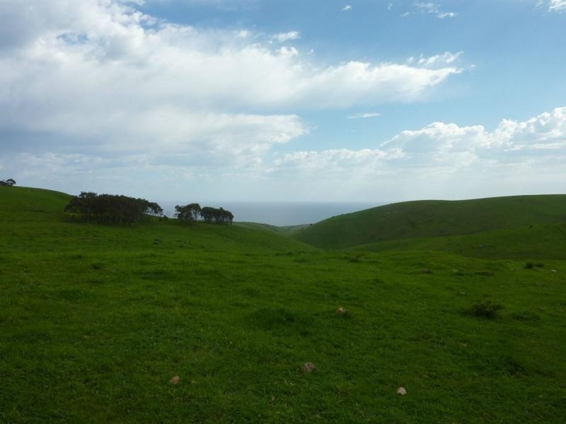 L50 Forktree Road, Carrickalinga SA 5204