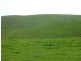 L50 Forktree Road, Carrickalinga SA 5204