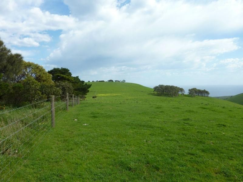 L50 Forktree Road, Carrickalinga SA 5204