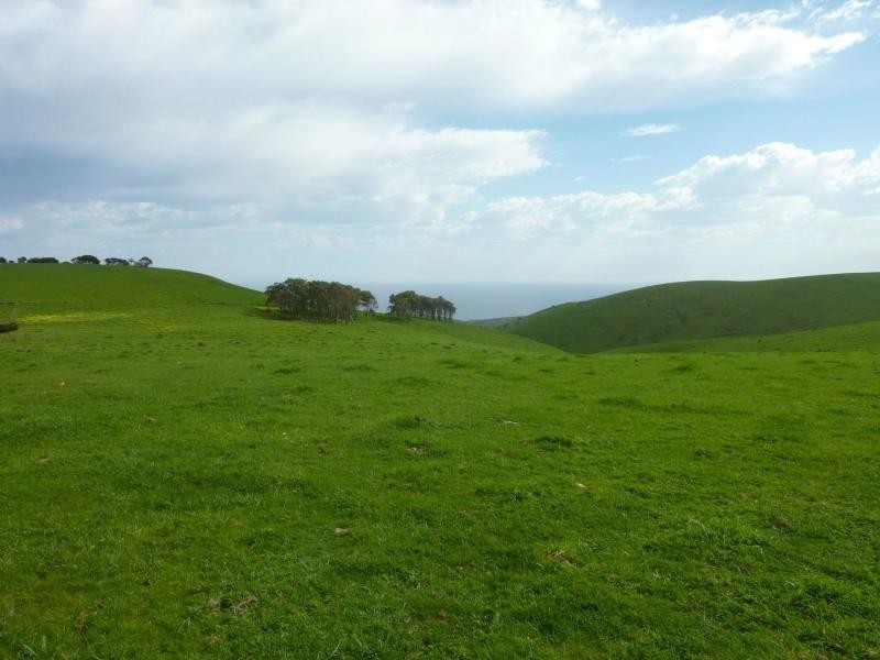 L50 Forktree Road, Carrickalinga SA 5204