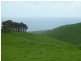 L50 Forktree Road, Carrickalinga SA 5204