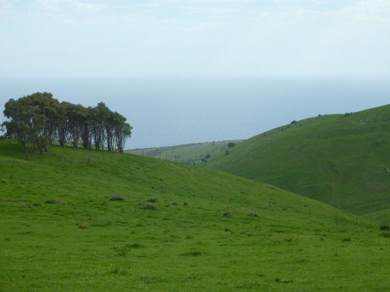 L50 Forktree Road, Carrickalinga SA 5204
