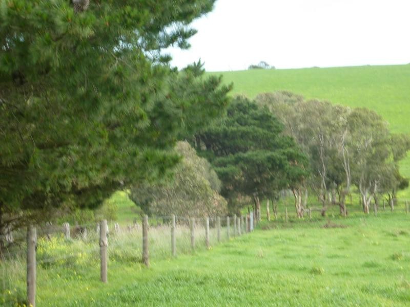 L50 Forktree Road, Carrickalinga SA 5204