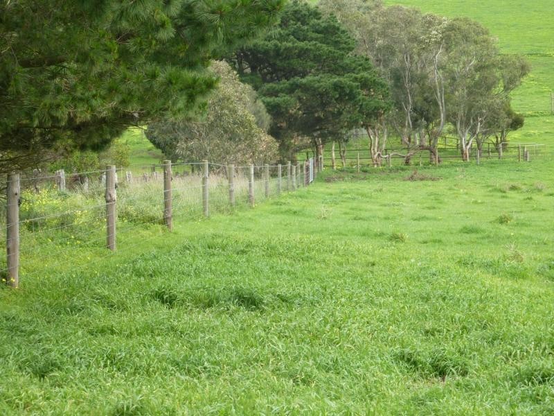 L50 Forktree Road, Carrickalinga SA 5204
