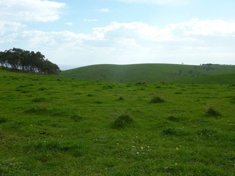 L50 Forktree Road, Carrickalinga SA 5204