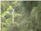 L50 Forktree Road, Carrickalinga SA 5204