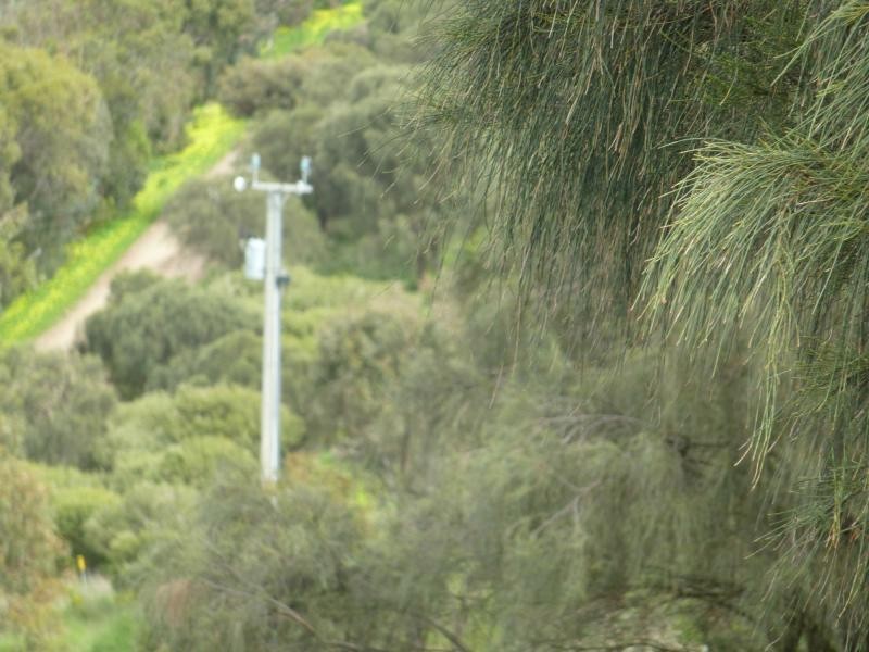 L50 Forktree Road, Carrickalinga SA 5204