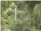 L50 Forktree Road, Carrickalinga SA 5204