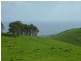 L50 Forktree Road, Carrickalinga SA 5204