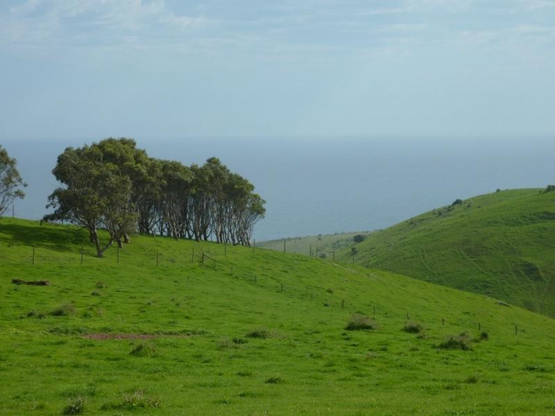 L50 Forktree Road, Carrickalinga SA 5204