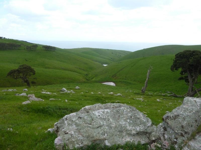 L51 Forktree Road, Carrickalinga SA 5204