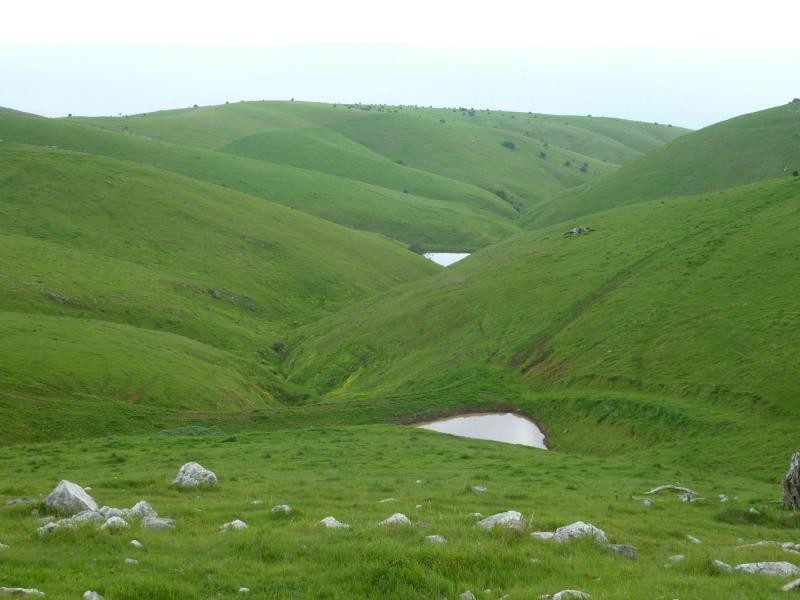 L51 Forktree Road, Carrickalinga SA 5204