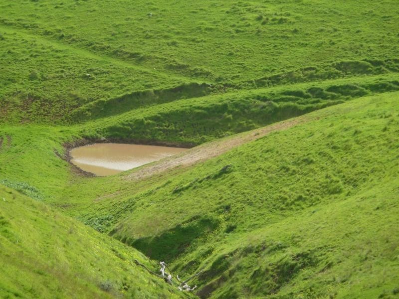 L51 Forktree Road, Carrickalinga SA 5204