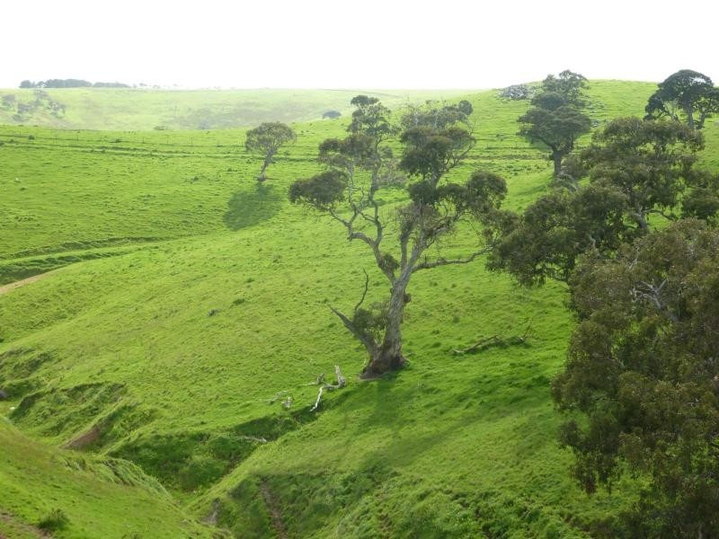 L51 Forktree Road, Carrickalinga SA 5204